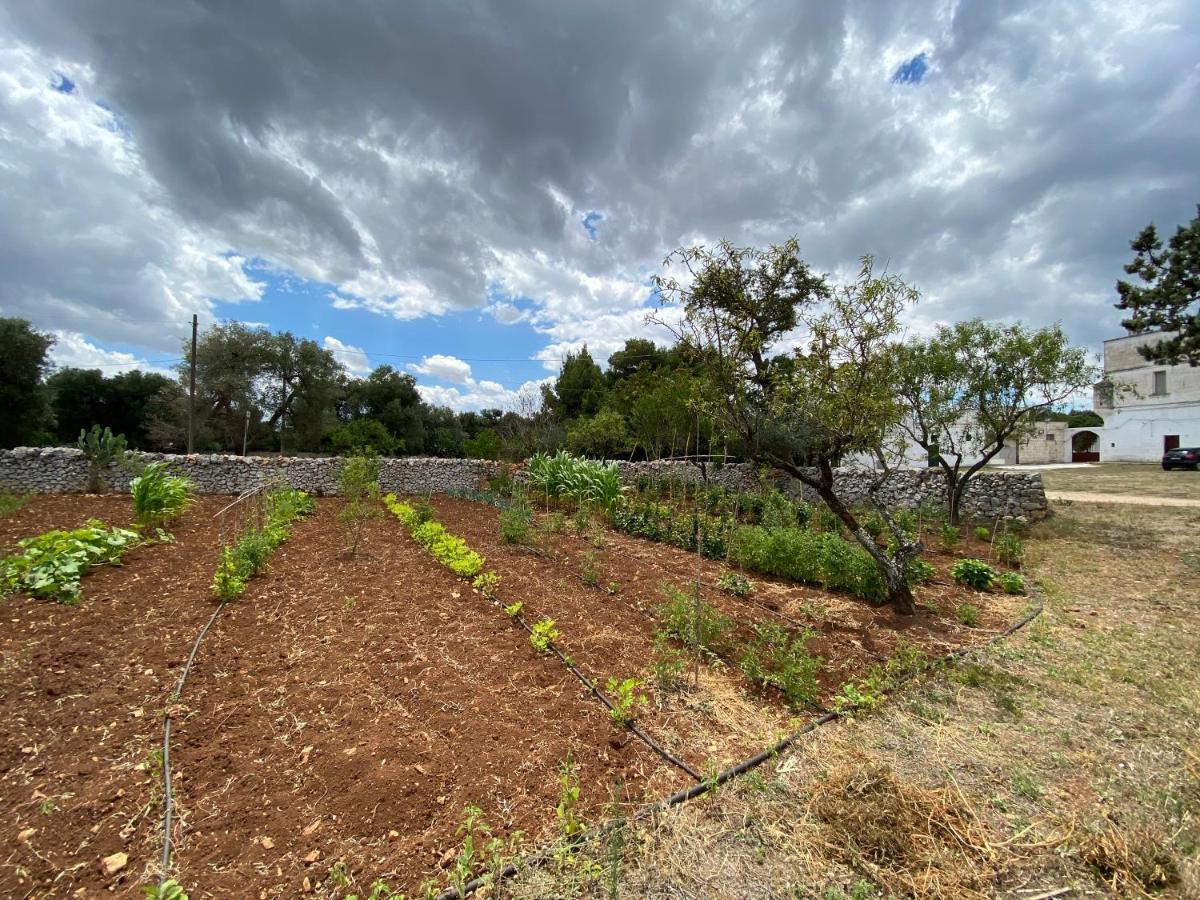 Masseria Cervellera Ceglie Messapica Exterior foto